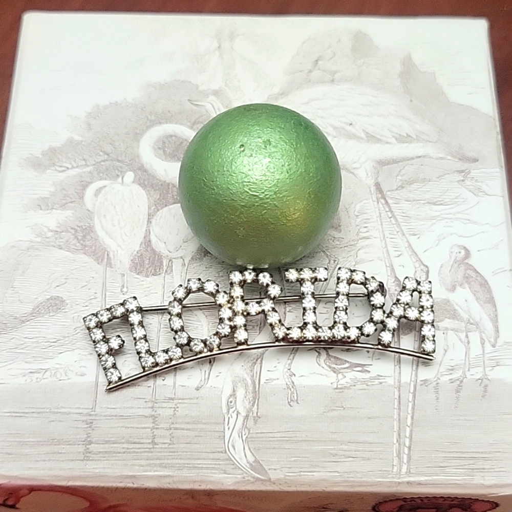 Florida brooch